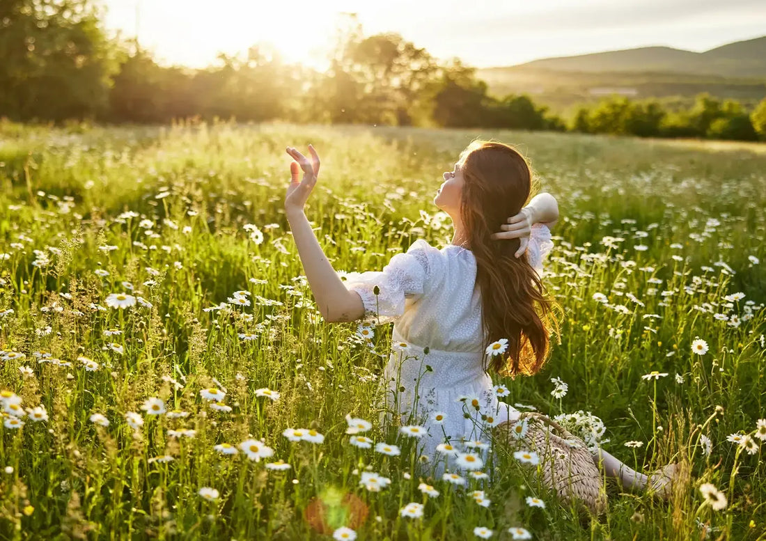 Letnia łąka o zachodzie słońca